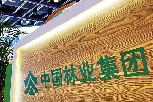 中林集團(tuán)子公司商票逾期風(fēng)波加劇，原董事長(zhǎng)遭起訴，旅游業(yè)務(wù)何去何從？